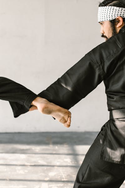 Martial arts training action