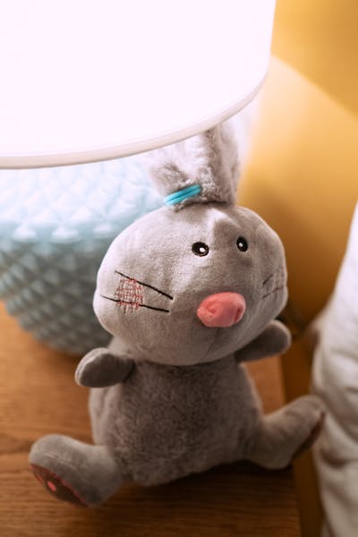 Plush toy collectible